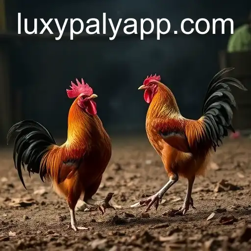 The Rise of Online Sabong: LUXY PLAY's Role in Digitalizing a Traditional Sport